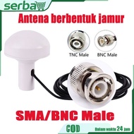 BD+ GPS interior antenna shooting fungus antenna head TNC/BNC interface