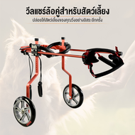 wheelchair dog วีลแชร์ สุนัข รถเข็น สำหรับสัตว์พิการขาหลัง ทำจากอลูมิเนียมอัลลอยด์ คุณภาพสูง มีหลายข