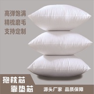 Cushion Insert 40X40 45X45 50X50 60X60 65x65 Throw Pillows Insert Pillow insert