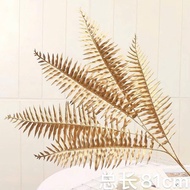 Decorative fern branches 20 branches