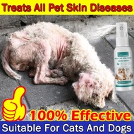 Ubat Kurap Kucing Paling Mujarab Spray Kurap Ubat Gatal Fungus untuk Kucing Obat Kutu Kucing Ubat Sp