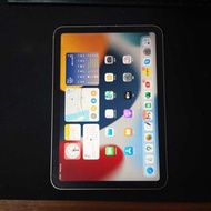 iPad mini 256gb