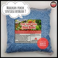 Baja Galak Buah Durian Mangga Rambutan Cepat Berbuah High Quality Bunga Garden Home