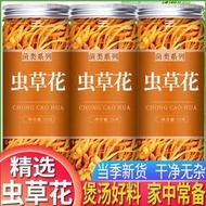 蟲草花干燉雞湯新鮮正宗蛹蟲草孢子頭煲湯材料選無硫新罐裝