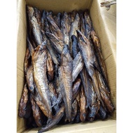 Ikan Lais Salai 500gr Ukuran Besar dan Kecil
