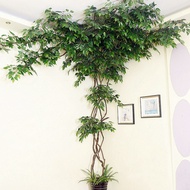 Leaves Branches Tree Vines Fake Flowers Vines Rattans Indoor Living Room Wall Balcony Pipe Green Wal