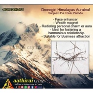 Dronagiri Himalayas AuraLeaf 🌿
(Sanjeevi Pul / Bulu perindu)