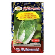 เมล็ดผักกาดขาวปลี ฮาวาย60  F-1 CHINESE CABBAGE MT/F1-30 ตราภูเขาทอง 150เมล็ดโดยประมาณ เมล็ดพันธุ์ผัก