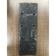 polybag 5” x 8” 900g nursery