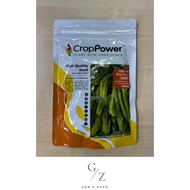 (20g / 50g / 200g) Crop Power WB 48 Big Four Special Selected Winged Bean / Kacang Bersayap / 四角豆