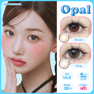 คอนแทคเลนส์ Opal Brown / Gray (Montra) ขนาดบิ๊กอาย 🌷 Bigeye ขายดี ลายคล้าย Oh Soul
