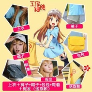 ［可換/租借/出售］血小板cos服大全套 工作細胞