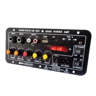 D10 Bluetooth Panel Amplifier Subwoofer Rakitan 300W Amplifier Bass Power AC 220V 12V 24V Amplifier