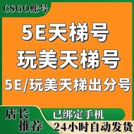 C csgo Account 5E Sky Ladder Low Score Number 5E Battle Platform Priority Account Sky Ladder Fixed S