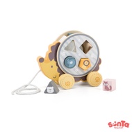 Aesthetic Wooden Hedgehog Pull Along - PolarB Shape Sorter Wheel