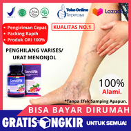 Obat Herbal Varises - Varises Di Kaki Varises Di Betis Varises Di Tungkai Pelebaran Pembuluh Darah G