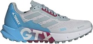 Terrex Agravic Flow 2 GTX Dash Grey/Magic Grey/Sky Rush 5.5 B (M)