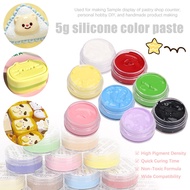 5g Silicone Gel Color Paste Even Coloring No Settling AB Silicone Coloring Dye