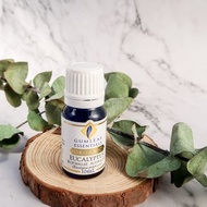 【澳洲原裝】Eucalyptus 有機藍膠尤加利精油