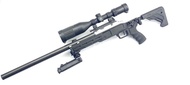 【IDCF】TTI 楓葉 430mm 初速200 碳纖維 右手 輕量化 外調HOP 狙擊槍 成槍 23370