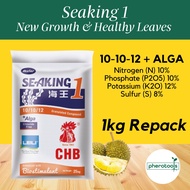 Pherotools 1kg SeaKing NPK fertilizer + LEILI Alga Biostimulant(Baja 10/10/12 + Sulfur)Gardening Tanah Semaian