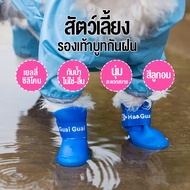 จัดส่งจาก กรุงเทพฯ รองเท้าบูทกันฝนสำหรับสัตว์เลี้ยง กันน้ำ กันลื่น และกันสิ่งสกปรก มีให้เลือกหลายสีหลายขนาด นุ่มสบาย