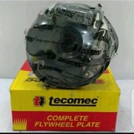 Senso 070 MS-720 TECOMEC ORIGINAL Ignition Coil Stator