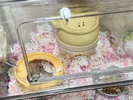 熊仔鼠 倉鼠用品 籠