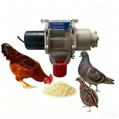 Automatic Chicken Feeder Pigeon Chicken Duck Carrier Pigeon Trough Intellegent Timing Automatic Chic
