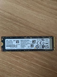 Samsung 9100 PRO 2TB/ 三星 PM9E1 Gen5 SSD OEM版 固態硬碟