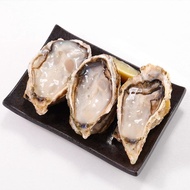 【華得水產】日本原裝巨大生蠔/全殼牡蠣1包(1000g/包)+醬油漬鮭魚卵1盒(250g/盒)