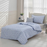 單人/十月羽絨被/可機洗、免被套、蓋一整年的好被子-陽台藍