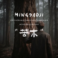 Bitter Wood 丨 Mingdao Collection Medicine Agarwood Ebony fragr Bitter Wood 丨 Mingdao Collection Medi