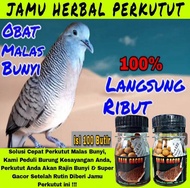 RAJA GACOR 100 BUTIR jamu perkutut malas bunyi jamin rajin bunyi anti stres jamu raja herbal perkutut bangkok lokal puter derkuku tekukur vitamin pakan burung milet phoenix laras ati crystal jpj kidaris manggung bocor warisan leluhur nutrobird bio ginseng