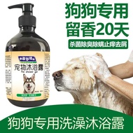 [48H ] West Highland Terrier White Hair Special Shower Gel for Dogs Remove Yellow Whitening Fluffy H