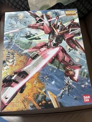 萬代 MG 無限正義高達模型