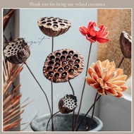Natural dried lotus flower 4 decorative lotus models flower decoration