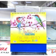 Colorful Life Desk Calendar HA24