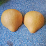 Scoop Extra Large Powder Drain Handle Rice Tao Natural Wholesale Unique Skin Facebook Scoop Props Sc