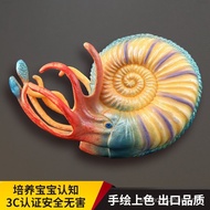 Solid Children Simulation Ancient Animal Toy Model Ancient Ribs Ammonite Software Animal Cognitive G