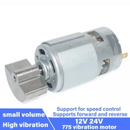 Powerful Motor 775 Fan Type DC Vibration Motor  12V / 24V Special Vibration Motor For Massager 8000R