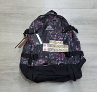 Gregory all day v2.1 24L紫花背包
