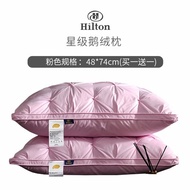 [Buy1Free1] Hilton feather pillow original OEM factory goose feather pillow 100% cotton 99% antibact
