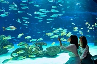 日本-東京SUNSHINE陽光水族館＆Tokyo Subway Ticket 24小時乘車券優惠套票