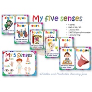 5 senses flashcards with circular rings | A3
