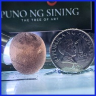 ▦ ☈ SAFFORDITE TEKTITE Cintamani HEALING CRYSTAL COLLECTORs Stone