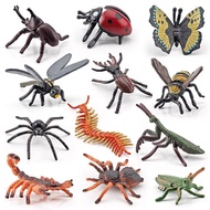 Simulation Solid Bee Spider Butterfly Unicorn Centipede Insect Animal Model Children's Toy Sand Tabl