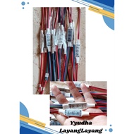 2 and 4 flashing kite module with 12Volt 24Volt led cables