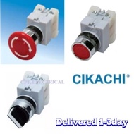 CIKACHI APB-22/ASS-222,3 FLAT HEAD PUSH BUTTON SWITCH