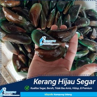 PROMO Kerang Hijau Ijo Laut FRESH/Kerang Seafood Segar/Kerang Hijau